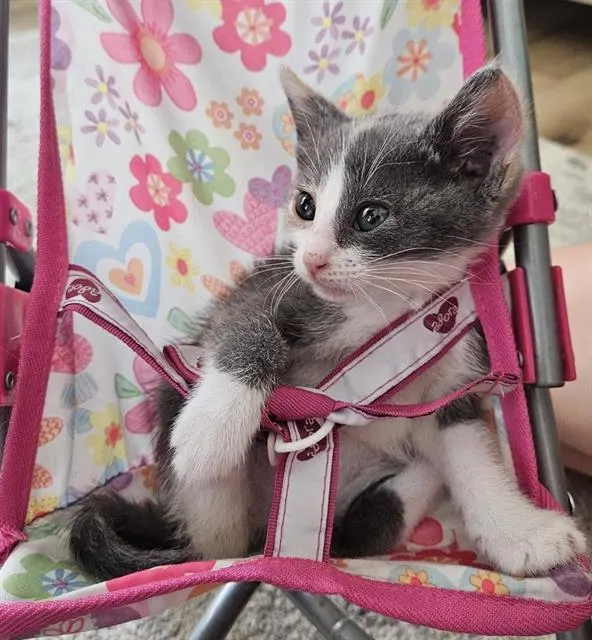Tina