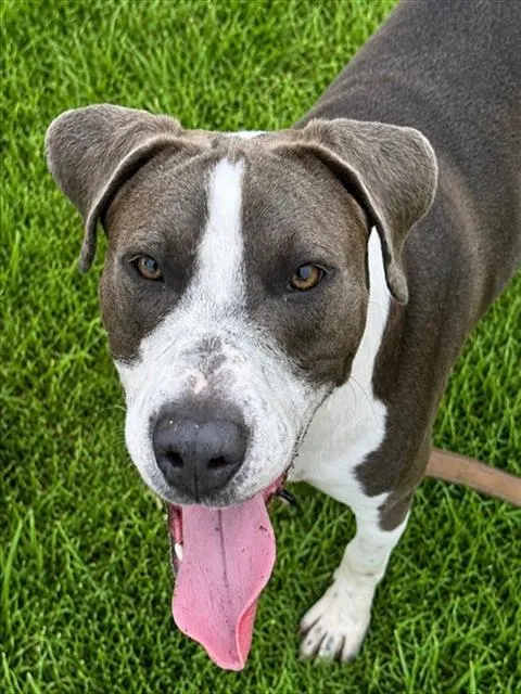 Zeus