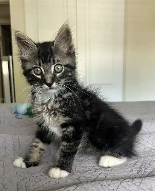 Theodore