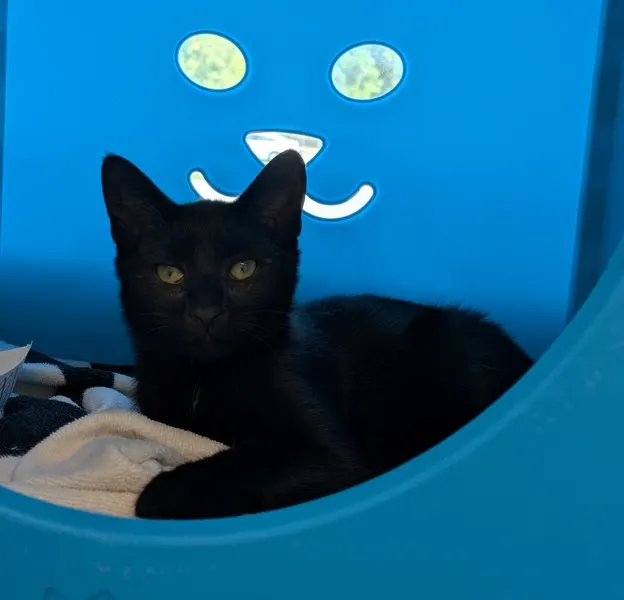 Margaret