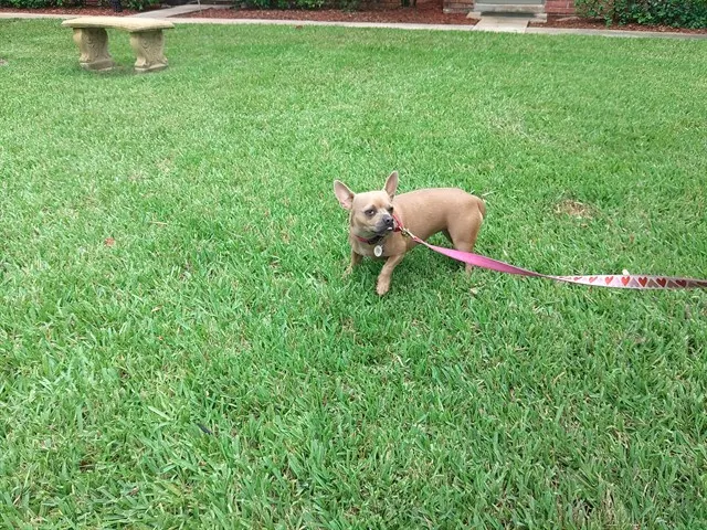 Zoey