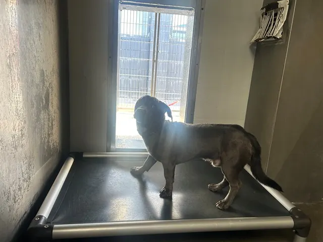 *Duke