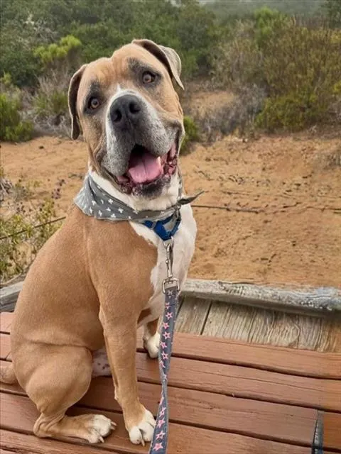 Tyson