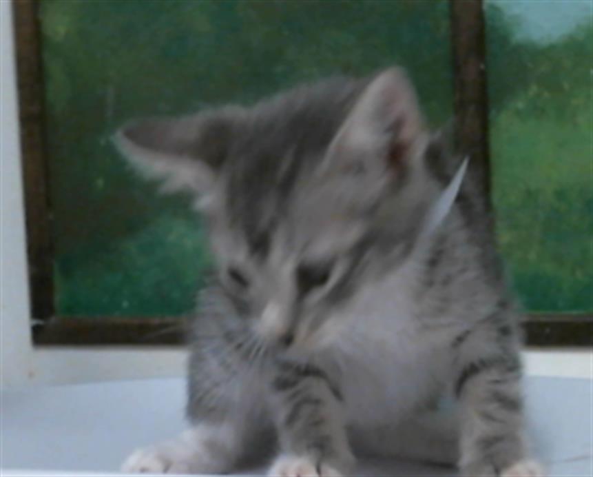 Beatriz