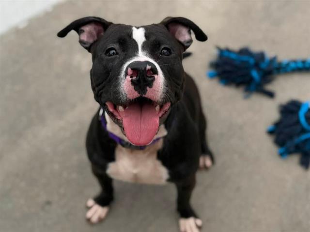 Reef-In Foster