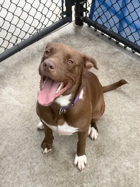 Copper