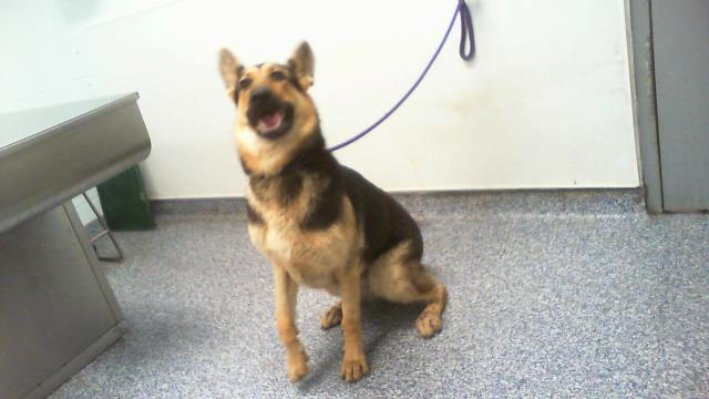 Boby