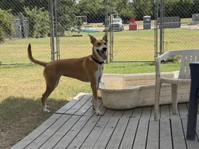Osita