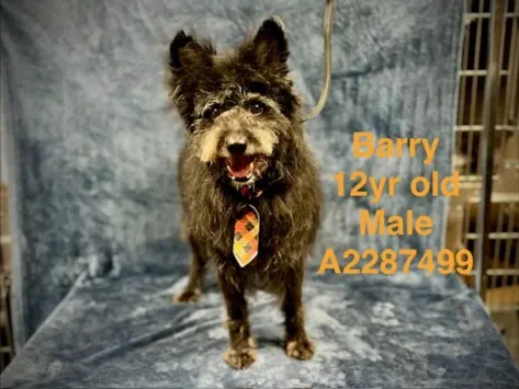 Barry