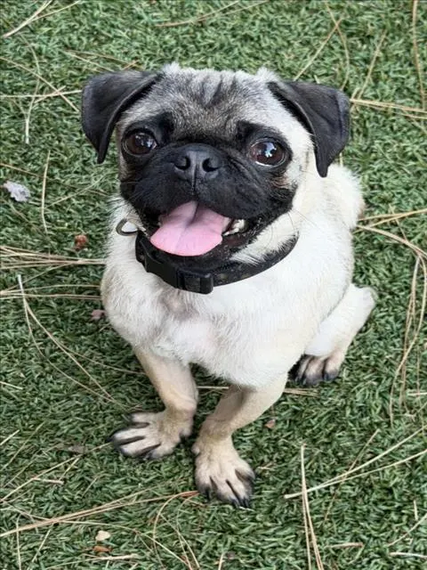 Chloe