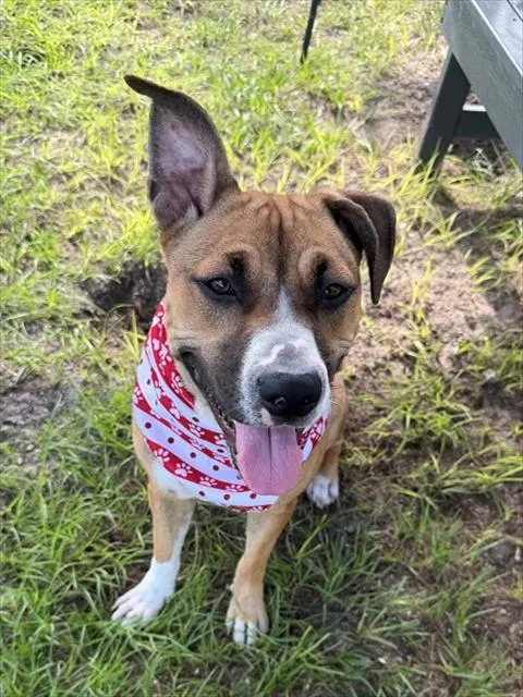 Frida