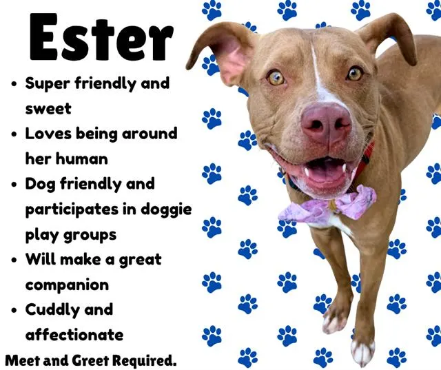 Ester