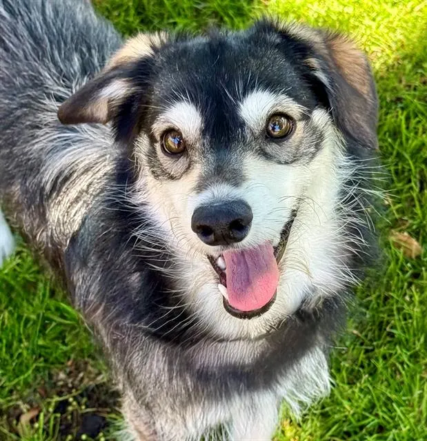 Roxy Mae
