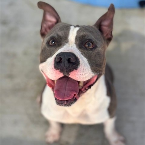 Max