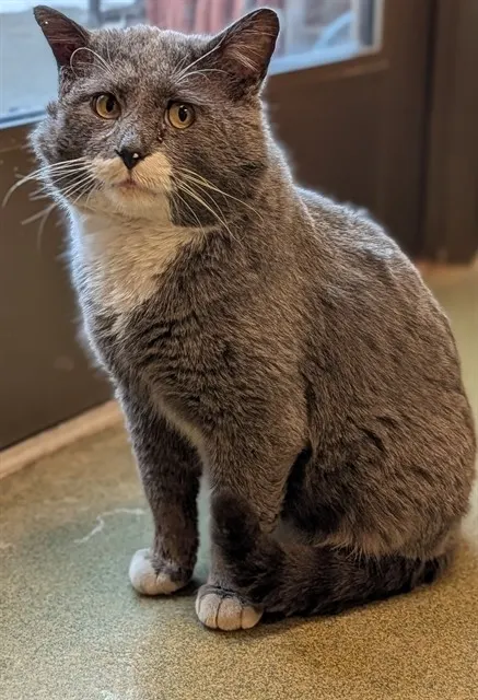 Arlo