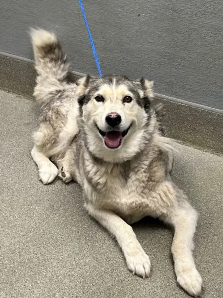 Luna