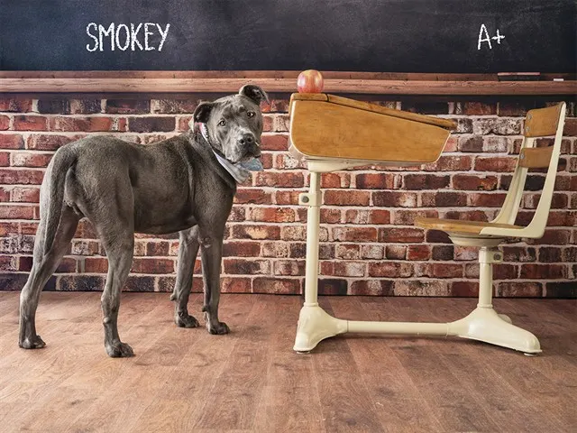 Smokey