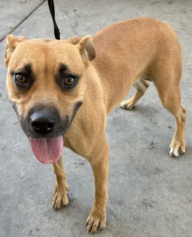 *Twinkle