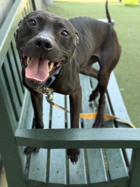 Max