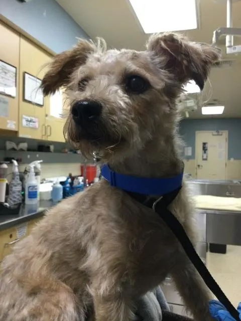 Doug
