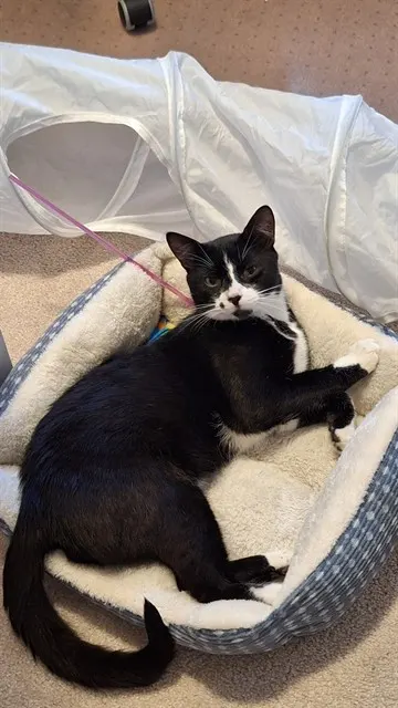 Ben