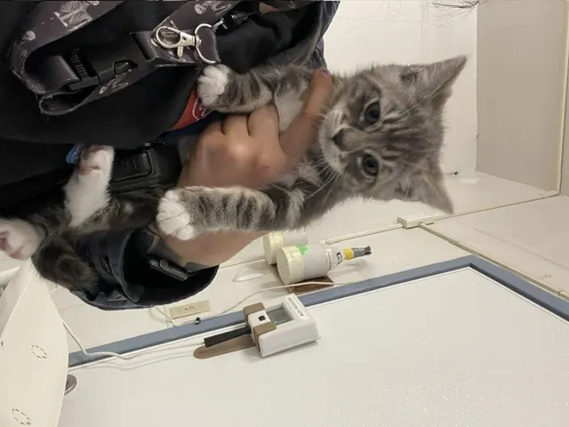Benny