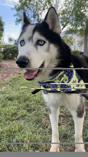 Ben
