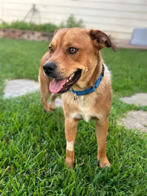 Milo