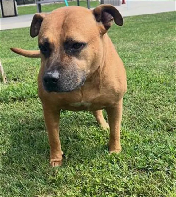 Roscoe