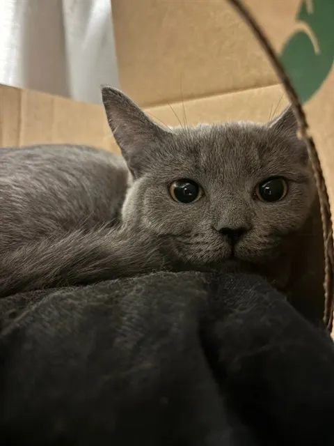 Flint