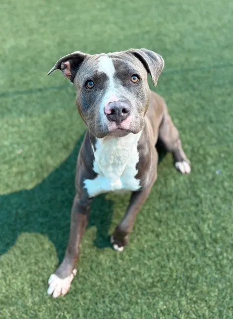 Max