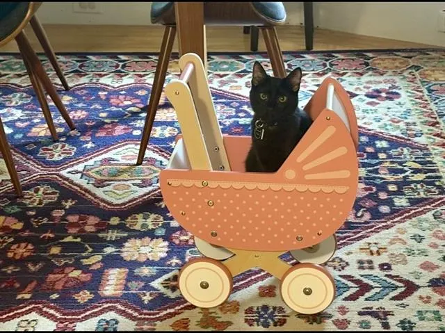 Felix