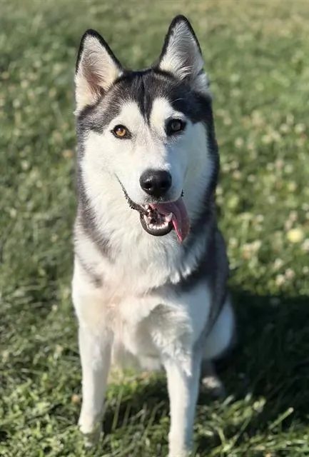 Luna