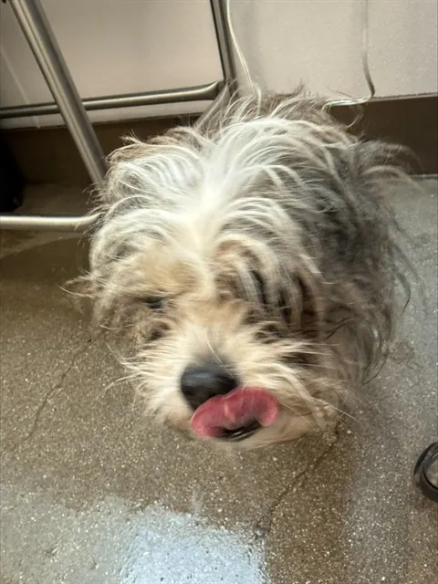 Benny*