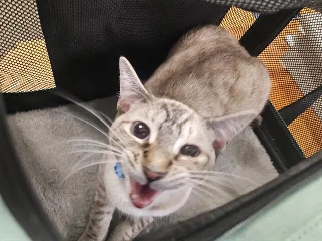 Lumie