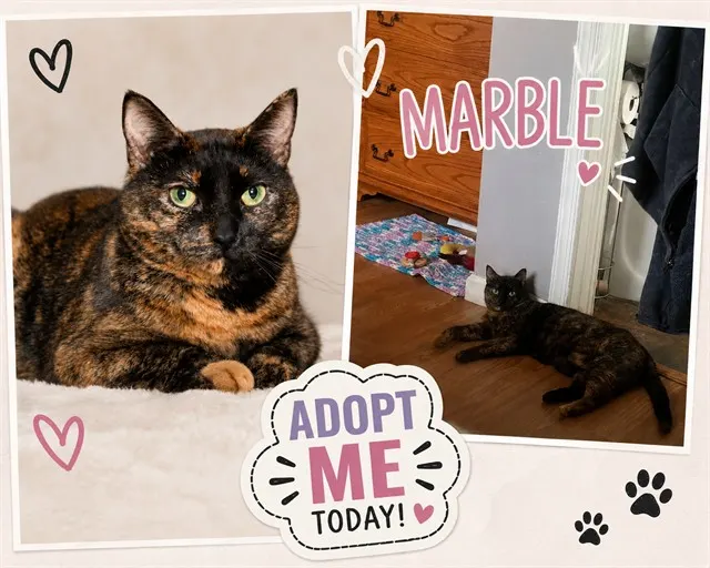 Marble