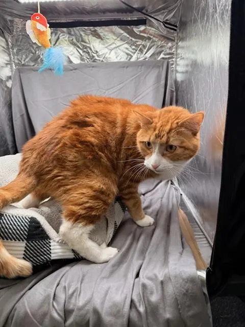 Bob
