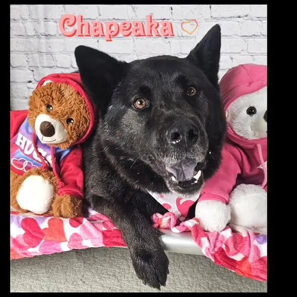 Chapeaka