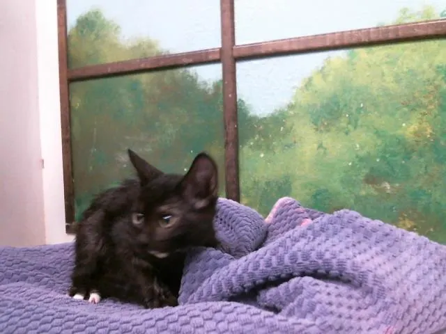 Felicity