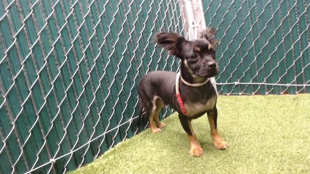 Max