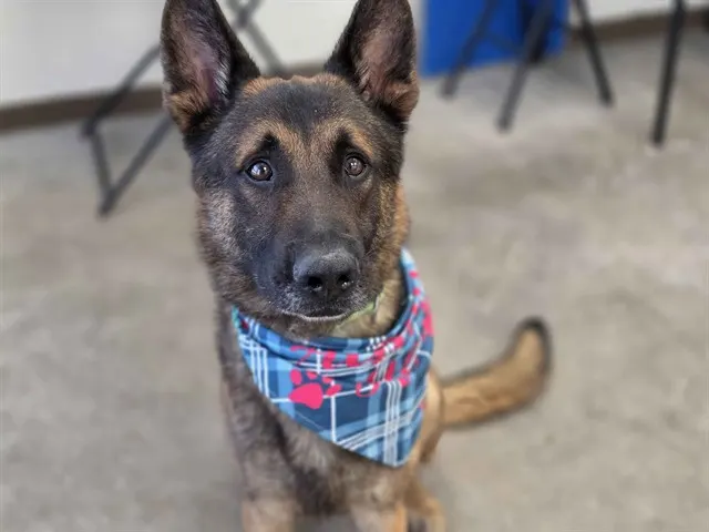 Axel