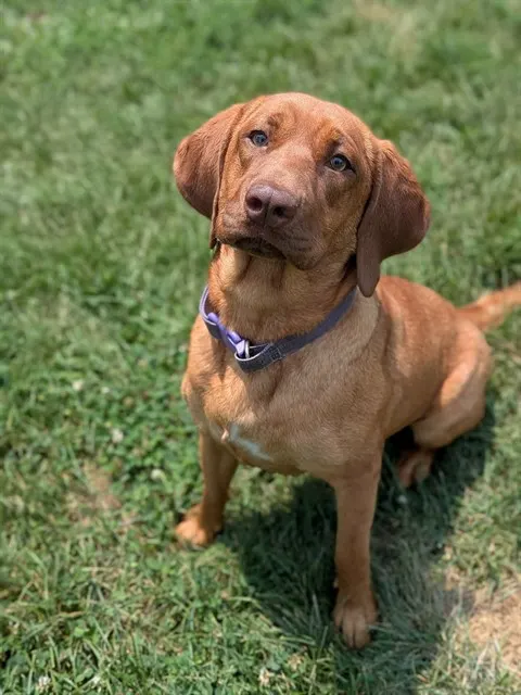 Ruby