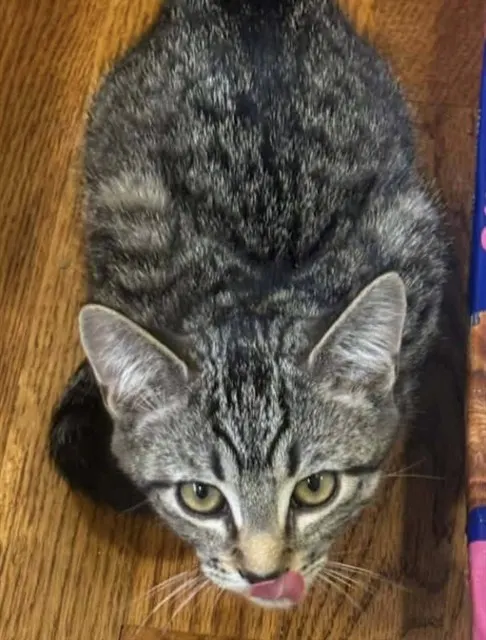 Raj
