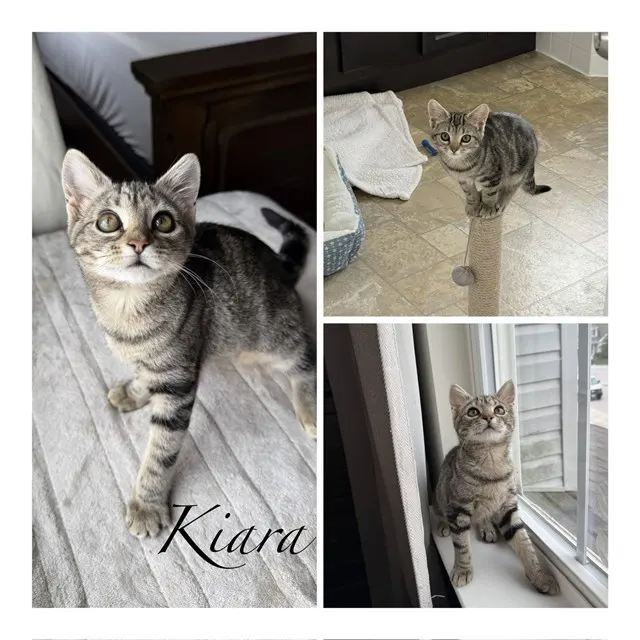 Kiara