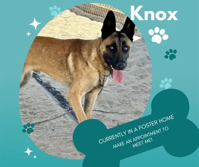 Knox