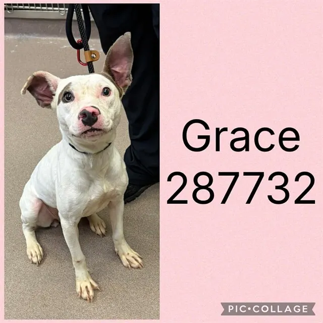 Grace