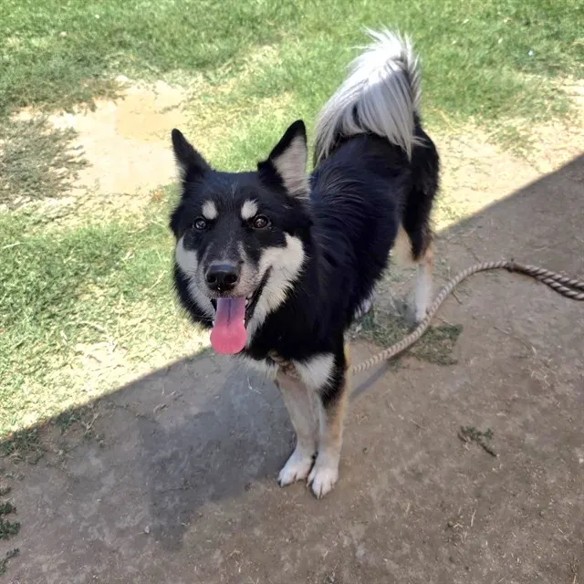 Luna