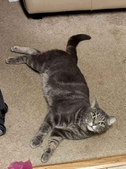 Ranjo