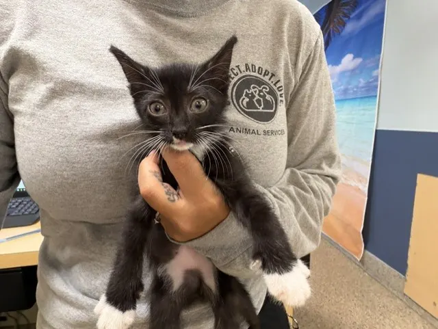 Luna