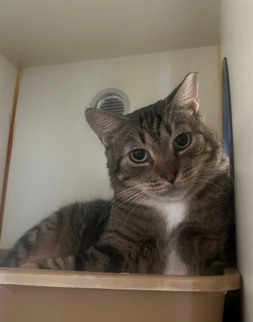 Tubby